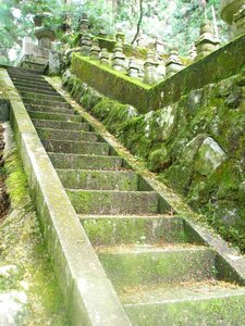 Old ancient