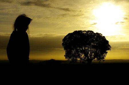Tree creativity silhouette