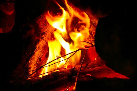 Fire camping night