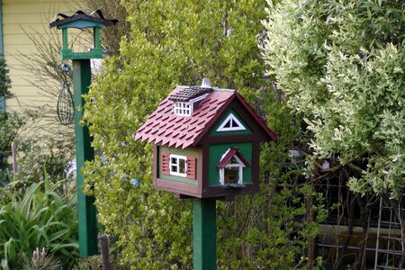 Green bird feeder deco