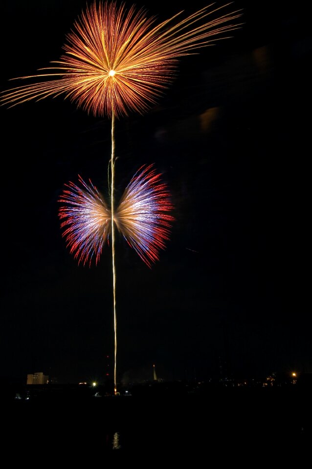 Celebration festive