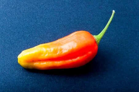 Bright sharp pepper crop