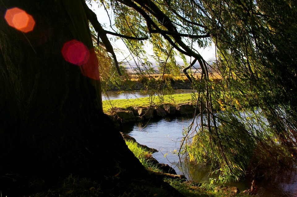 Nature sunlight