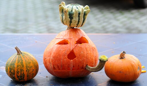 Orange gourd vegetables photo