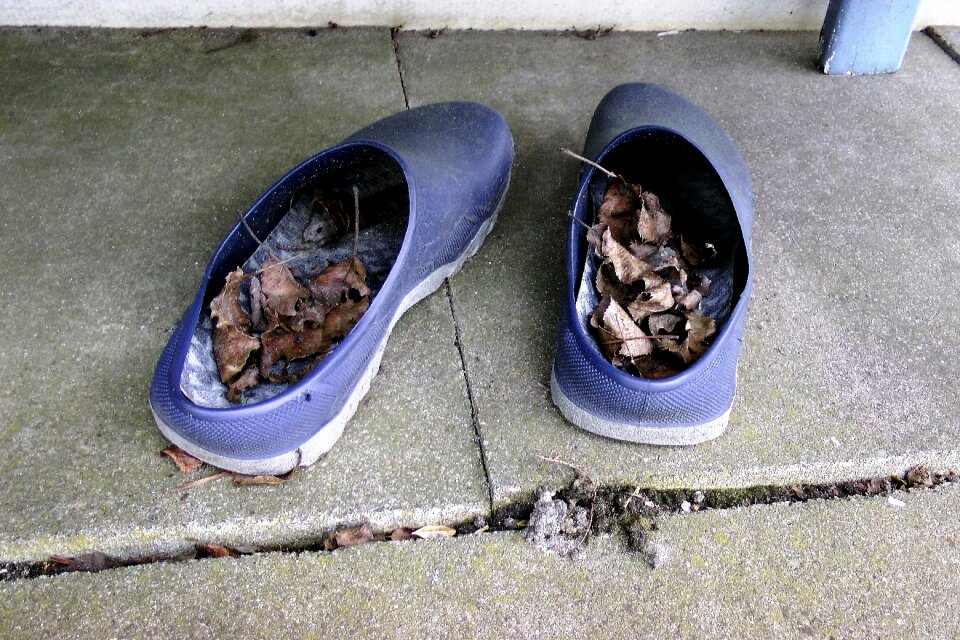 Blue dried leaves garden slabs