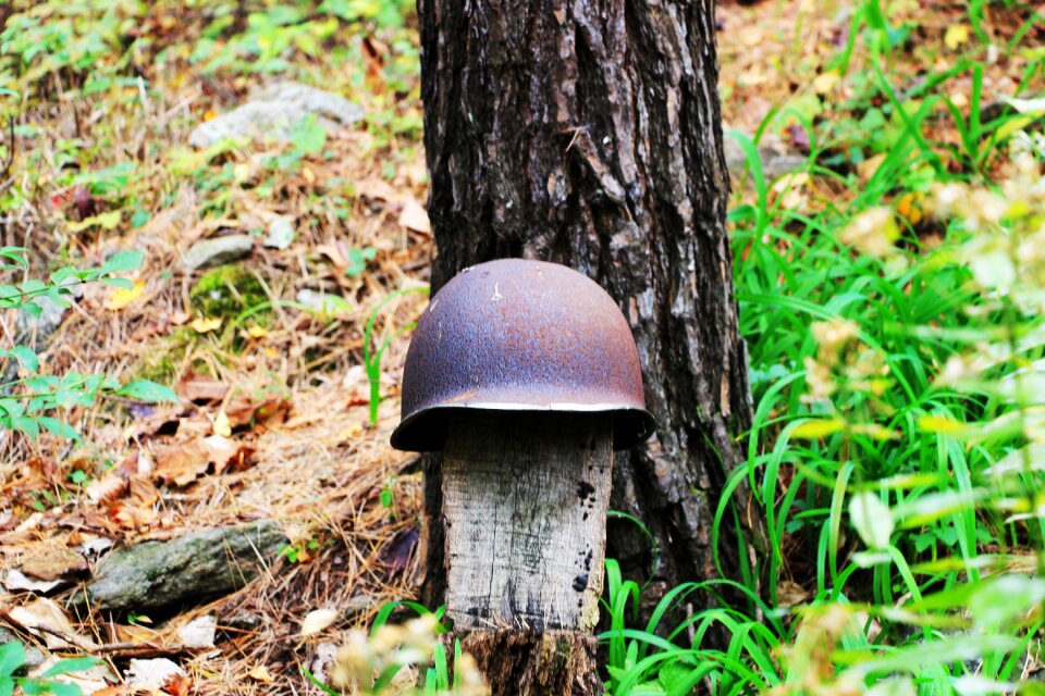 Soldier war republic of korea
