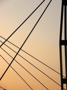 Cables roof span photo