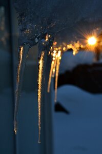 Cold frozen winter