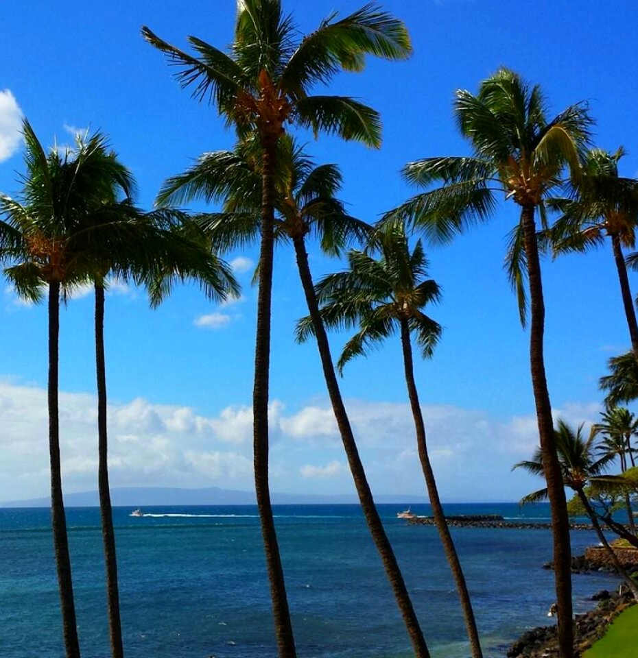 Maui hawaii island
