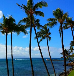 Maui hawaii island photo