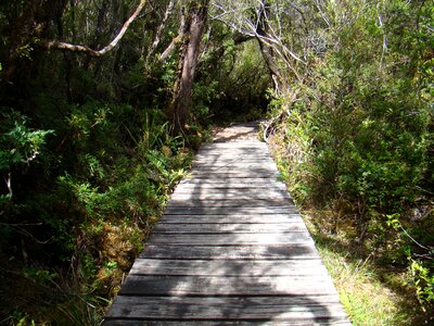 Trail path landscape photo