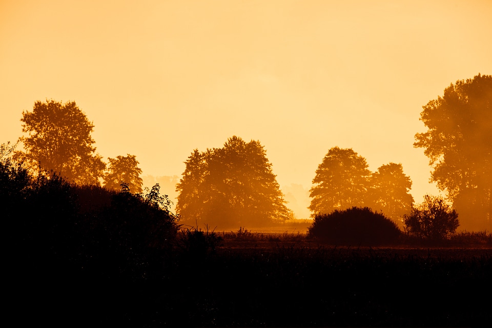 Foggy landscape light
