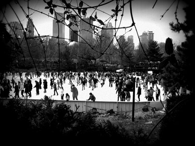 Park lake ice skating