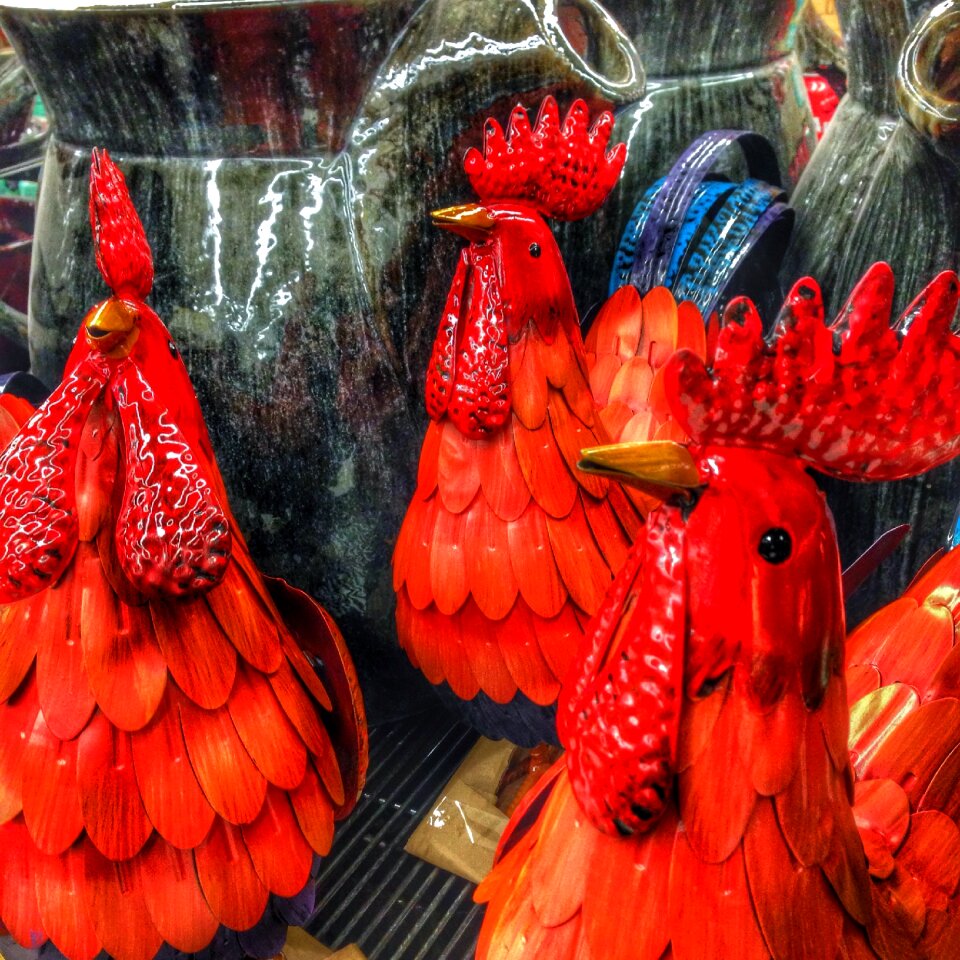 Red rooster