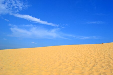 Pilat dune summer landscape photo