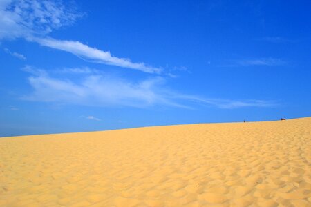 Pilat dune summer landscape