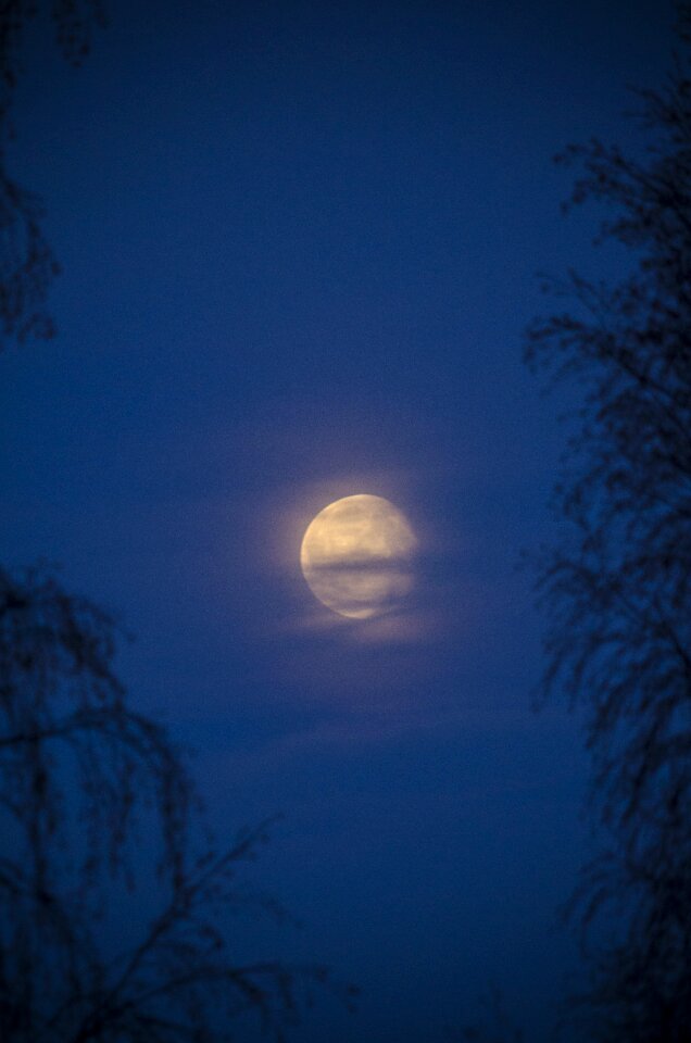 Mystery blue himmel