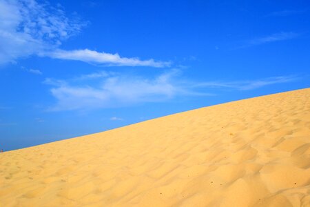 Pilat dune summer landscape