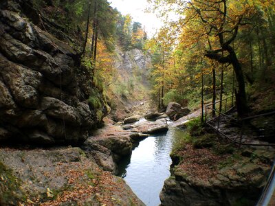 Sonthofen bach forest