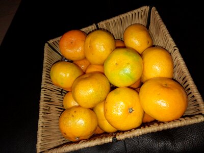 Tangerine joe saenggyul citrus