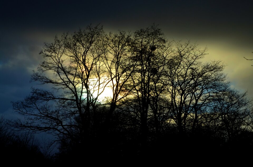 Black light sunlight