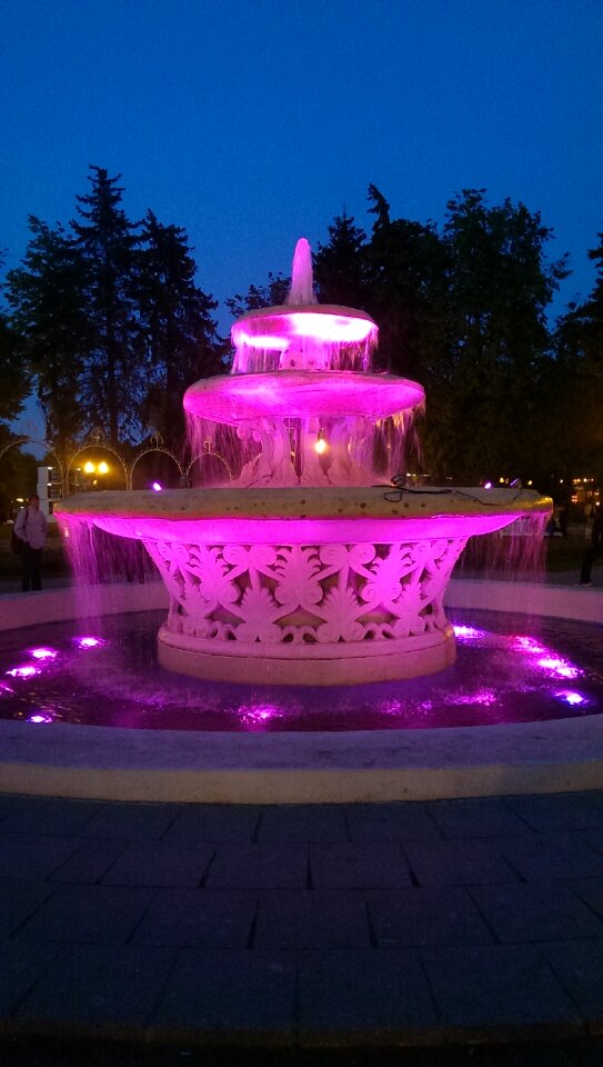 Moscow pink neskuchniy garden