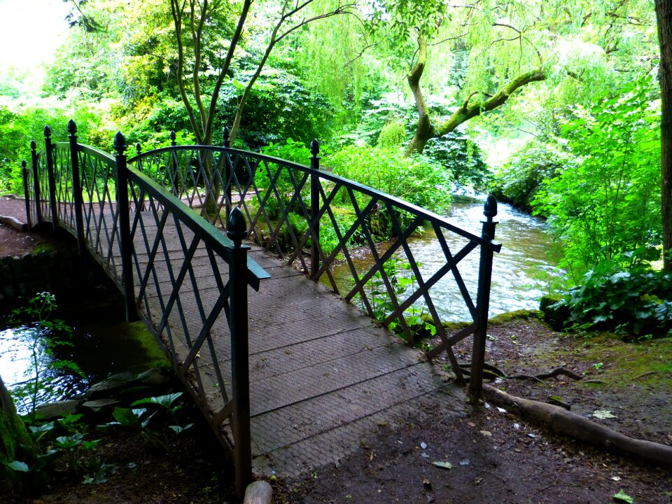 Water landscape footbridge