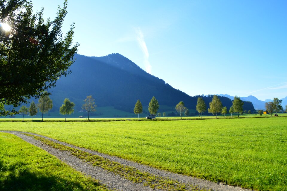 Late summer morning alpine