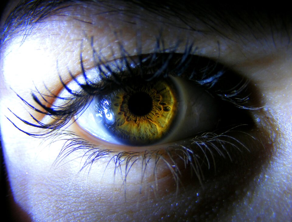 Light iris coloring