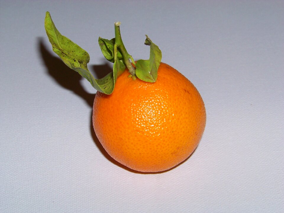 Healthy delicious clementine