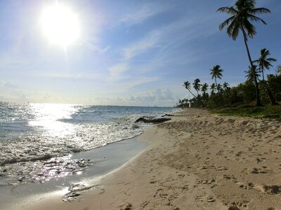Sun palm vacations photo