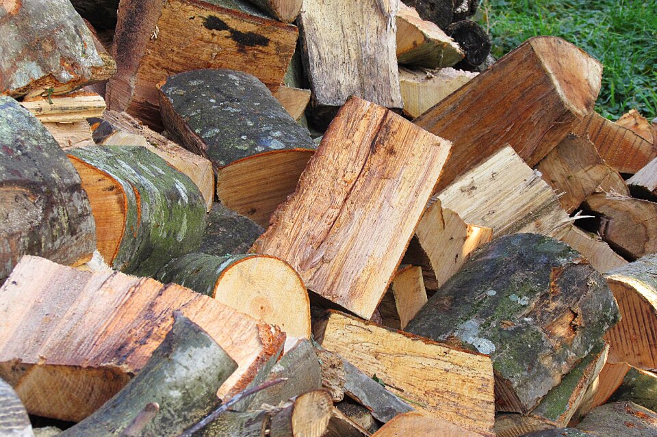 Holzstapel growing stock firewood
