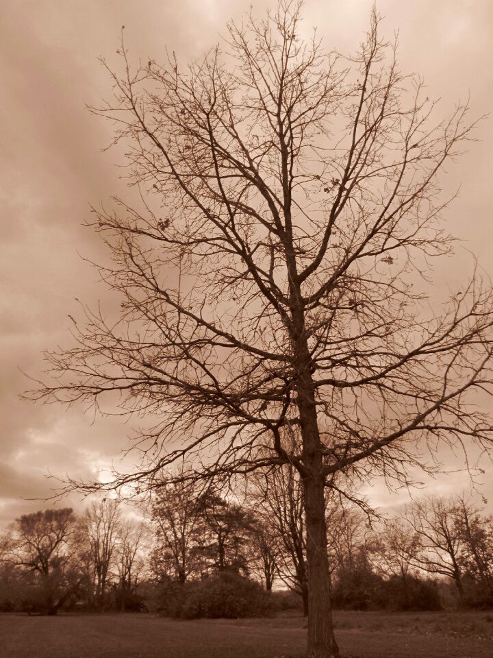Outdoor overcast cloud