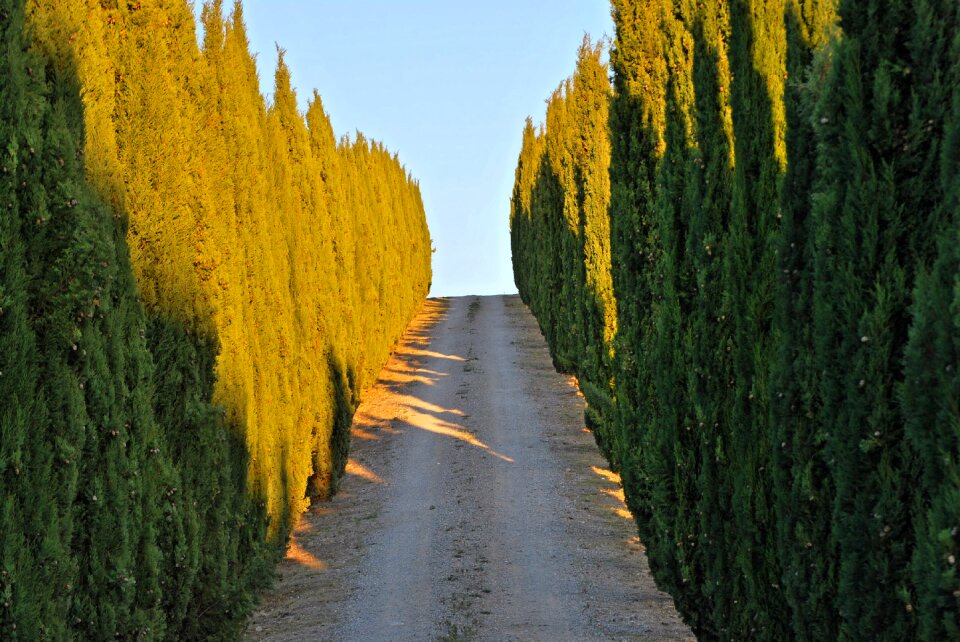 Italy castelnipvo bereradenga viale