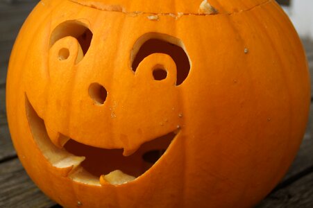Halloween autumn halloweenkuerbis