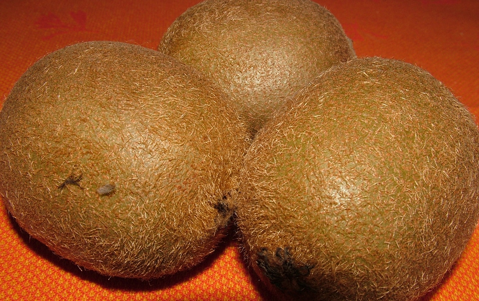 Exotic kiwi nutrition
