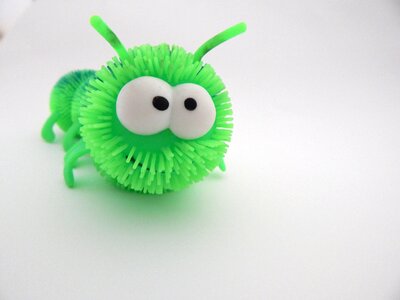 Face eyes insect