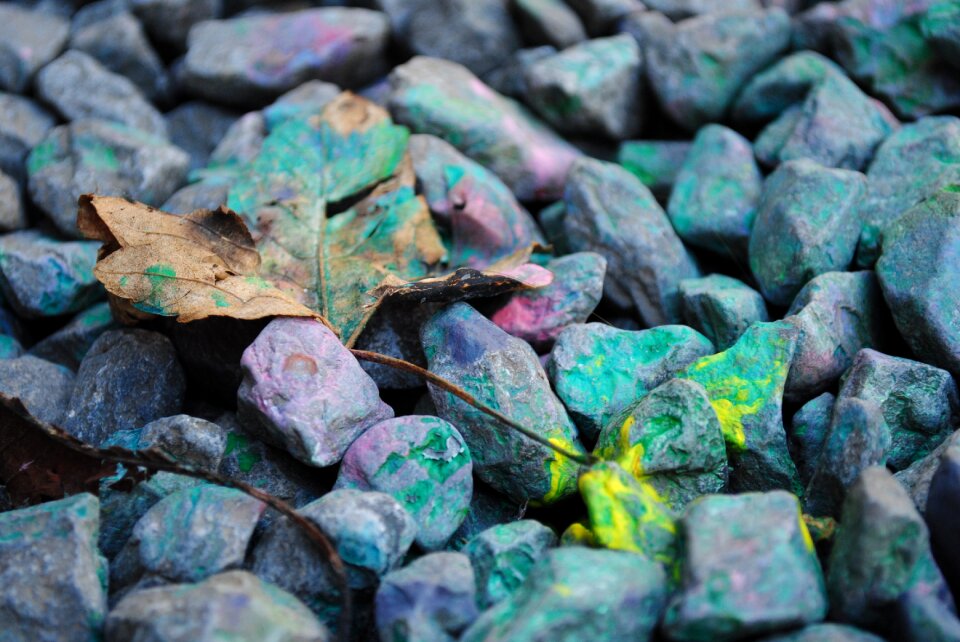 Leaf painting pebbles