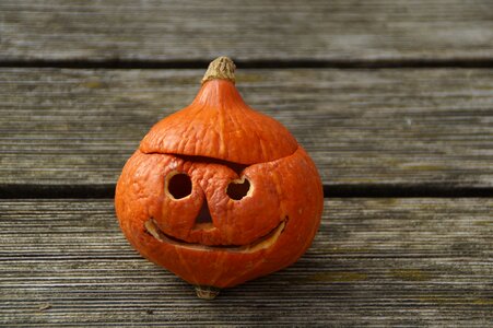Autumn face orange