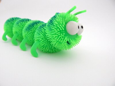 Centipede worm crawl