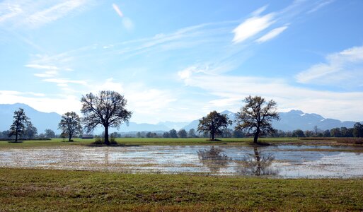 Swamp autumn nature reserve photo