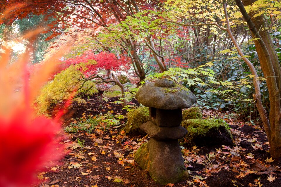 Tradition buddhist temple shinto shrine