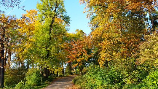 Autumnal park stuttgart mountain villa