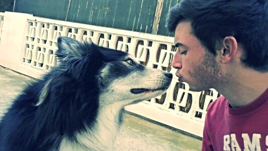 Dog young friendship