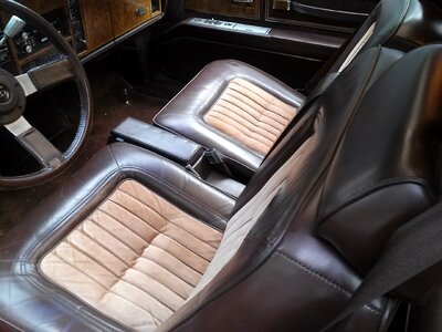 Car seats car