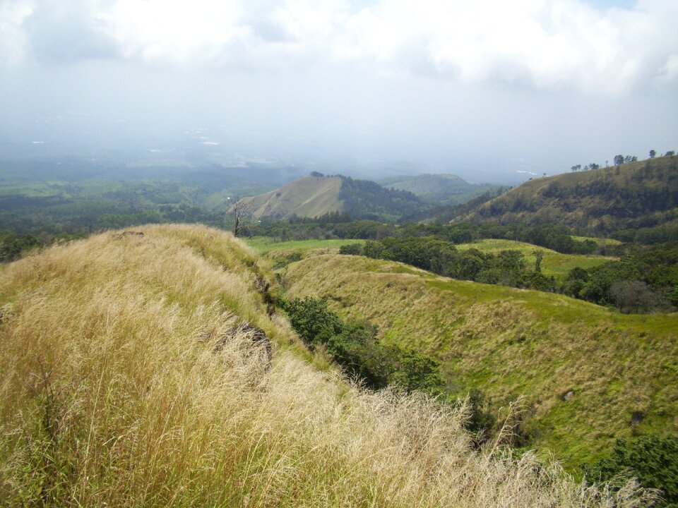 Mount arjuno the meadow indonesian