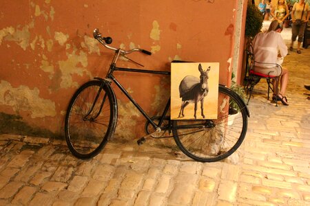 Turned off donkey art