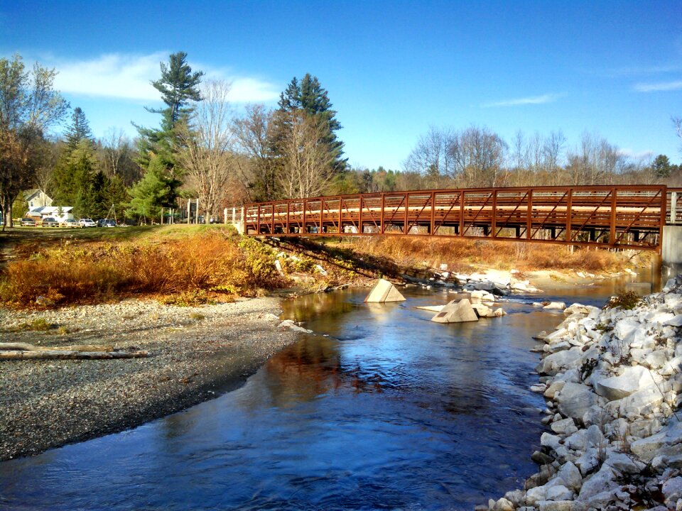 Stream trees rocks