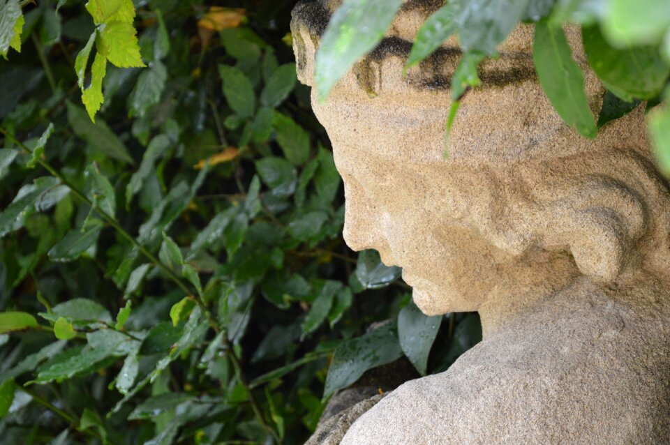 Italy greenery profile