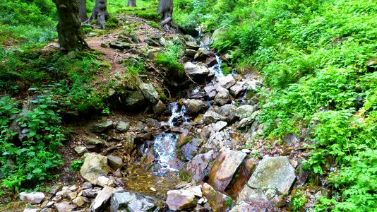 Torrent stones bank photo